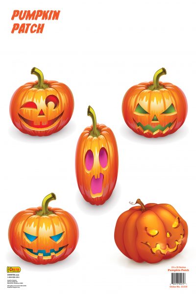 Pumpkin Patch (21310)